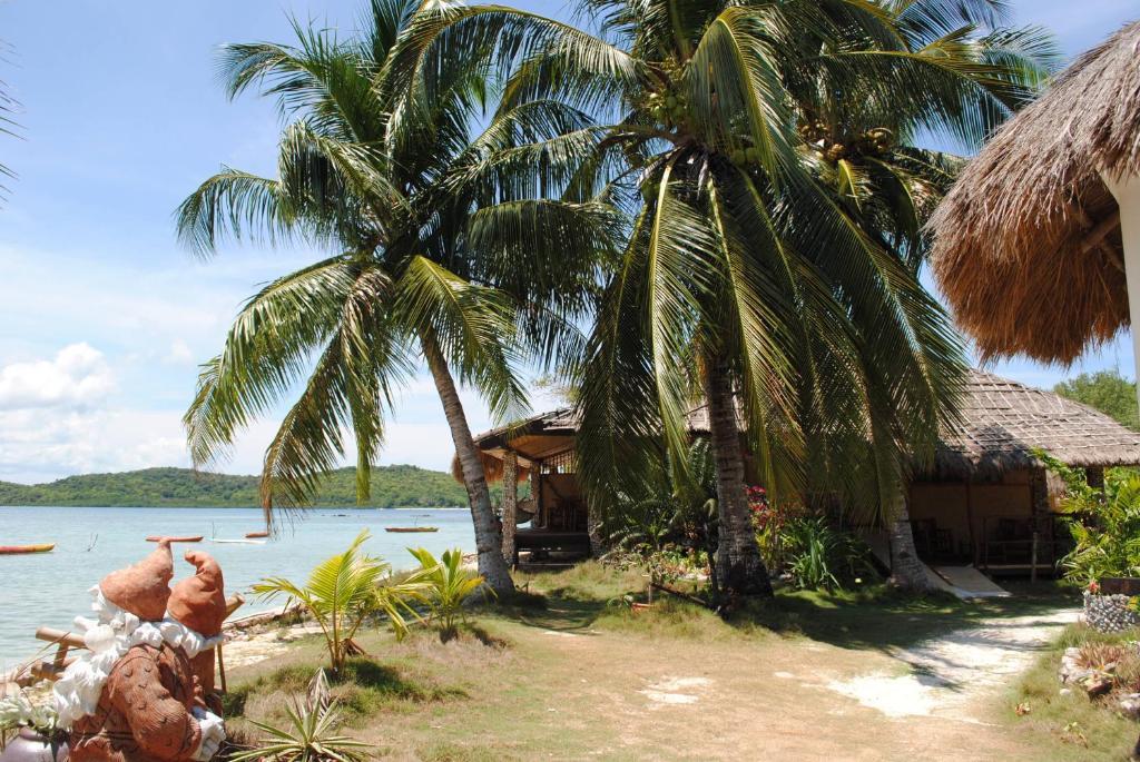 Coral Bay Beach And Dive Resort Busuanga Rum bild